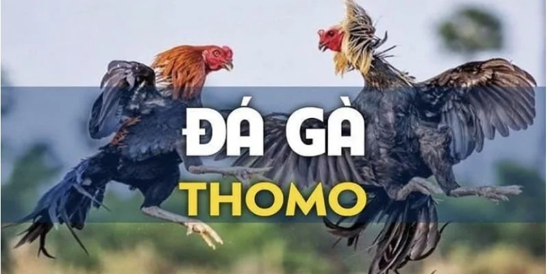 da-ga-GO99-thomo